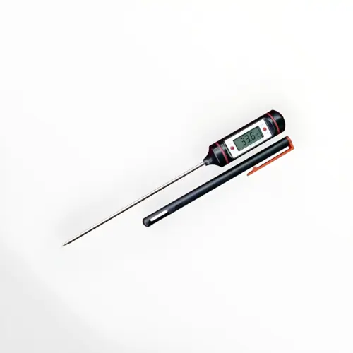 DIG. TERMOMETAR UBODNI