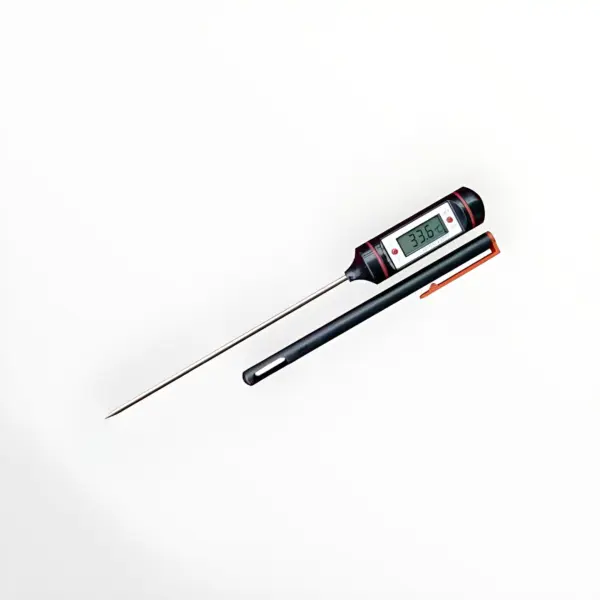 DIG. TERMOMETAR UBODNI